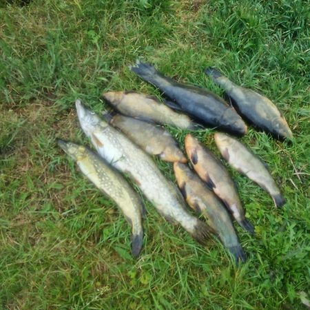 Eko-Fish Villa Miastko Buitenkant foto