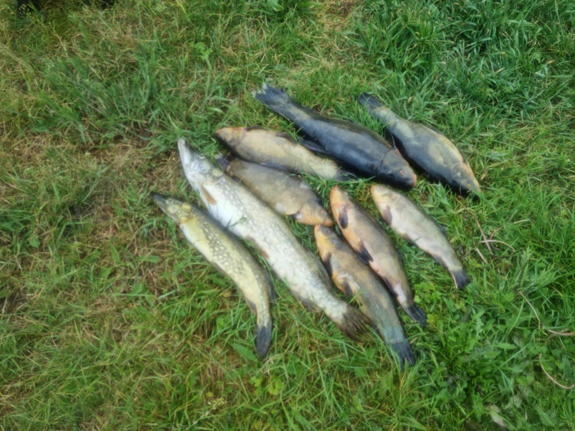 Eko-Fish Villa Miastko Buitenkant foto