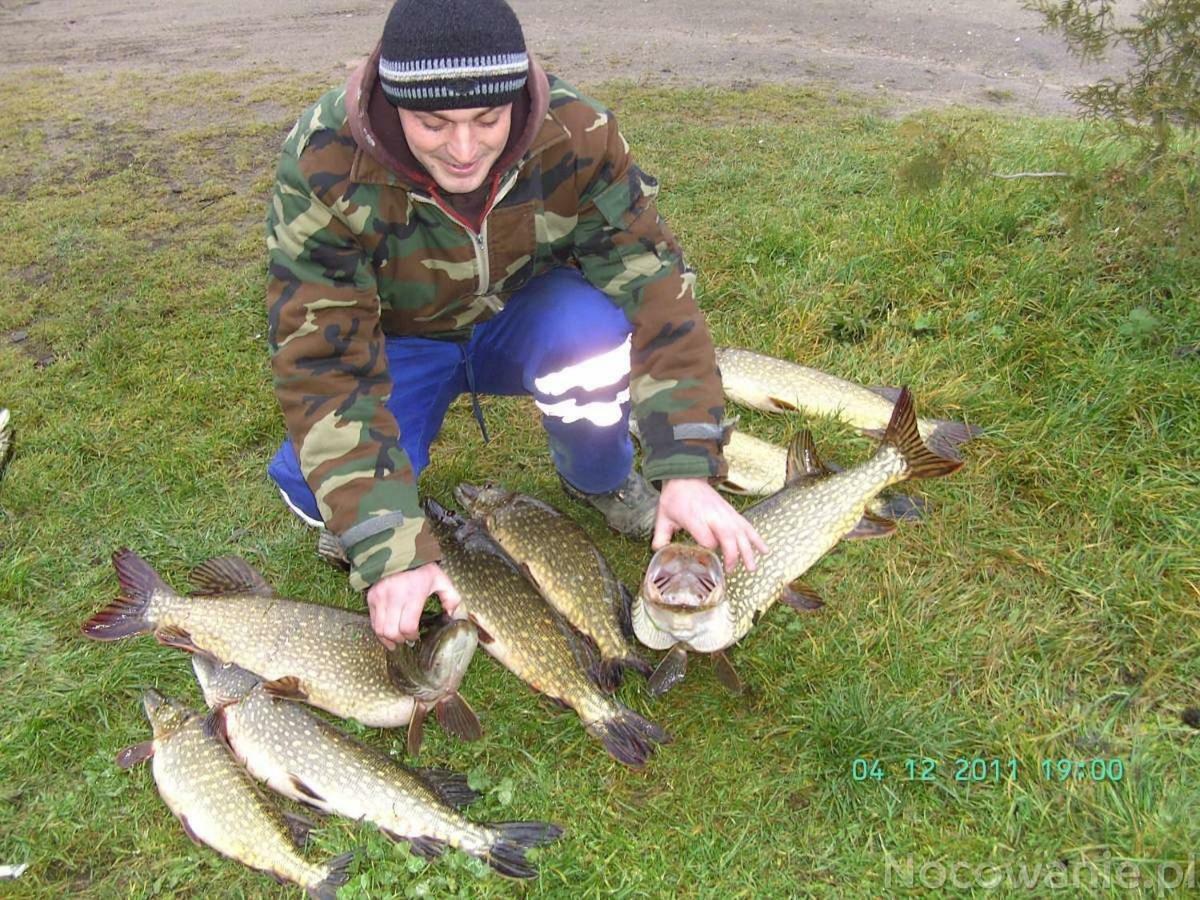 Eko-Fish Villa Miastko Buitenkant foto