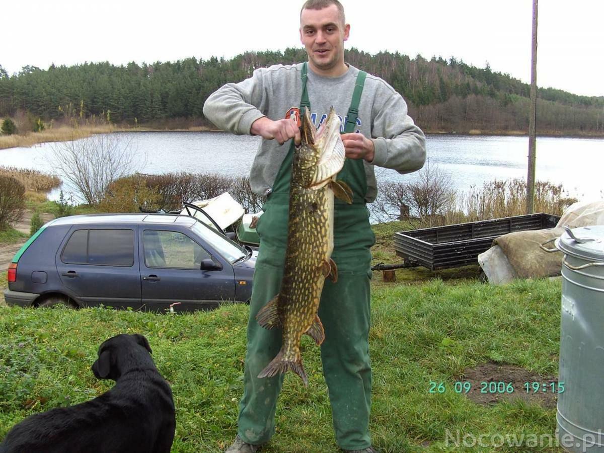 Eko-Fish Villa Miastko Buitenkant foto